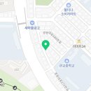 멍토피아 강아지분양 인천 본점 이미지