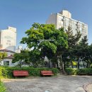 늘푸른어린이집 놀이터 | 어린이집 야외 놀이바운스 행사 후기 (에어바운스 + 꼬마기차 + 붕붕카)