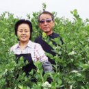 이일수농장 이미지