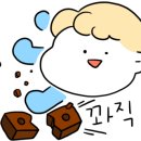 로마관광나이트 이미지