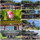 실상사 석장승 | [사찰리뷰]지리산7암자 순례길/완벽정리 2026.5.24