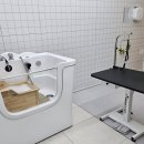 제로네 펫쌀롱 이미지