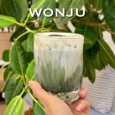 남원로469번길 | 원주 스콘 맛집 명륜동 조용한 카페 노트북 카공 추천