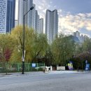 (주) 한반독 | 메가주 일산 2025년 하반기 토요일 오픈런 방문 후기