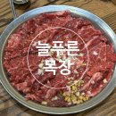 성남대로331번길 | [분당/정자]늘푸른목장 분당점-정자 한우 소갈비살 맛집 내돈내산 후기