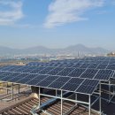 신진태양광발전소 이미지