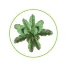 용운농장 이미지