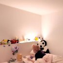 월순 철판 동태찜 이미지