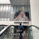 데이미언 허스트 무료 전시｜폐막 전 다녀온 국립현대미술관 서울관 솔직후기