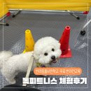 서울동물복지지원센터 동대문 동물병원 | 서울반려동물시민학교 반려견무료교육 독피트니스 체험후기