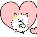 카페마이아