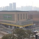 치동초등학교 이미지