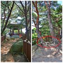 양양 하조대/쏠비치/낙산사, 속초 바다향기로/속초해변/소노캄델피노 (&#39;25.8.31) - 1 이미지