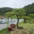 주석농장 이미지