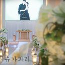 슈가파티 이미지