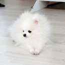 서예(초급) 이미지