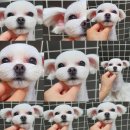 문현동물병원 이미지