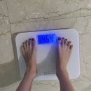 모정 | 다이어트 식욕억제 펜트라민 마름모정 재구매 후기