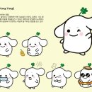 콩양