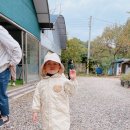 모담산 유아숲체험원 | 부천 근교 인천 숲체험｜10000평 숲에서 노는 아라유아숲체험원 후기