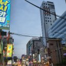 돌배기집