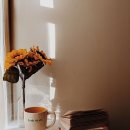 치명적인 오타, 행복한 카페 생활이 되려면... 이미지