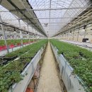 마진농장 이미지