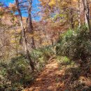 화개악양농협악양지점주유소 | 2022. 11. 4. 지리산 삼신봉