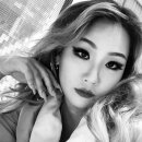 씨엘건재