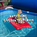 5959애견동반펜션 이미지