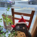 당진시 북문로 | [방문후기] 충남 현지 추천 당진 아카렌가 베이커리 시그니쳐 소금빵 나오는 시간