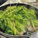 아울축산 이미지