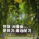 멍컷 | 2026 서울국제정원박람회 포켓몬 시크릿 포레스트 메타몽 플레이그라운드 총정리