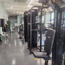 스트롱거 짐 이미지