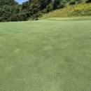 코스카cc 이미지