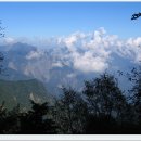 SC제일은행 횡단보도 이미지