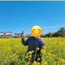 비엘로직스 (주)
