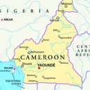 씨엔케이인터내셔널 이미지