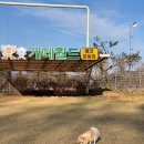 개떼월드 이미지