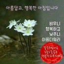 행복한 아침 이미지