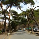가인빌딩 | 청류암 그리고, 백양사 - 전남장성