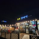 돗배갈매기 이미지
