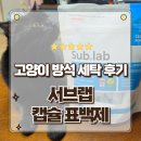 콤콤 | 누렇게 변한 고양이 흰 방석 캡슐 표백제 1개로 깨끗하게 세탁한 후기