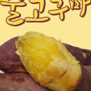 아어가지 이미지