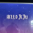 다담약국 | 눈보라 치는 제주도 여행 후기