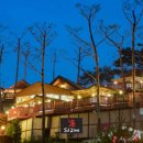 잠자는 숲속의 펜션 이미지