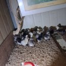 제경농장 이미지