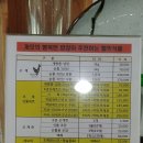 지산농원 티스토리
