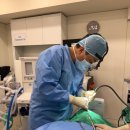 솔이비인후과의원 이미지