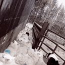 병목목장 이미지